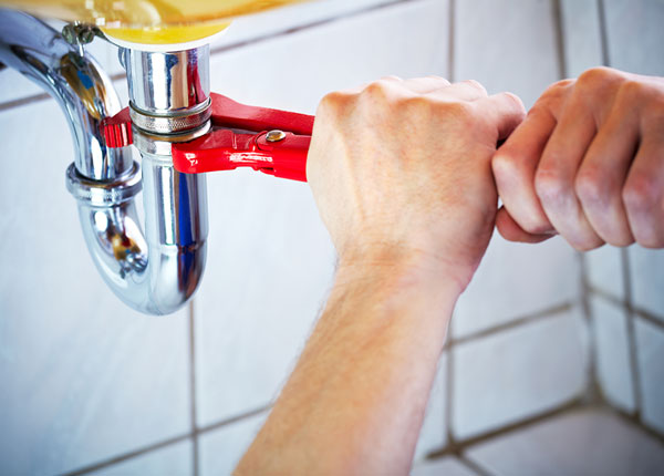 About Elfers Plumbers